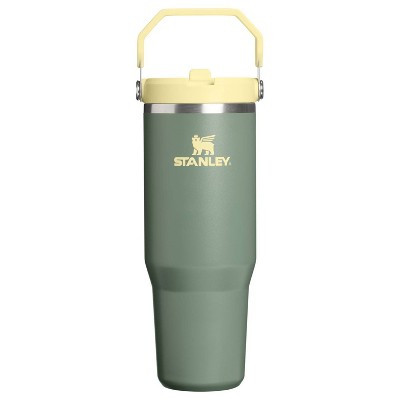 Stanley 30 oz Stainless Steel Ice Flow Flip Straw Tumbler Cactus Western | Target
