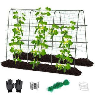 65 in. L x 48 in. H Green U-Shape Cucumber Trellis for Raised Bed, Metal Garden Trellis with Netting for Climbing Plants | The Home Depot