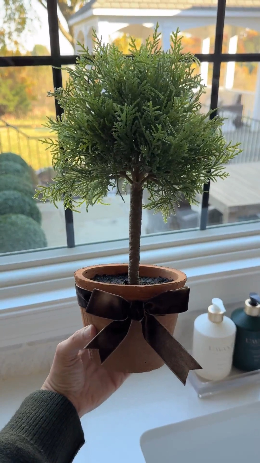 Obsessed with these cypress topiaries! Perfect winter or holiday decor! 



#LTKHome #LTKHoliday #LTKSeasonal