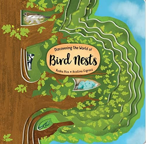 Discovering the World of Bird Nests (Happy Fox Books) Unique Board Book for Kids Ages 3-6 to Lear... | Amazon (US)