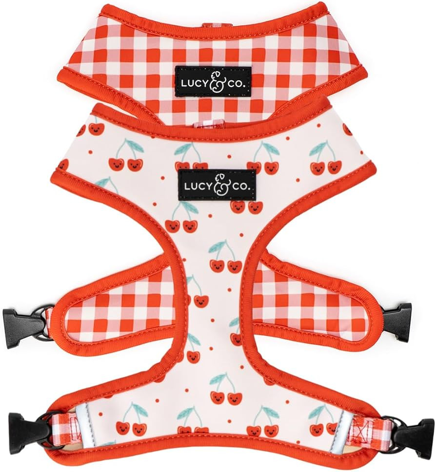 Lucy & Co. Cheery Cherries, Cute Reversible Dog Harness Walking Halter - Best Designer Pet Harnes... | Amazon (US)