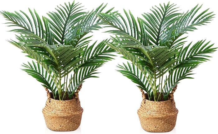 Fake Majesty Palm Plant 2Ft Artificial Tree for Home Decor Indoor Small Faux Trees in Pot Fake Tr... | Amazon (US)