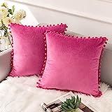 Ashler Decorative Velvet Throw Pillow Covers with Soft Particles Outdoor Pillowcases for Couch, Sofa | Amazon (US)