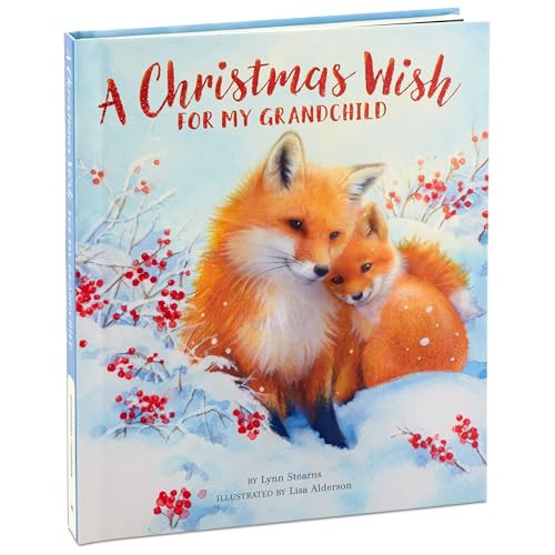 Hallmark Recordable Book for Children (A Christmas Wish for My Grandchild) | Amazon (US)