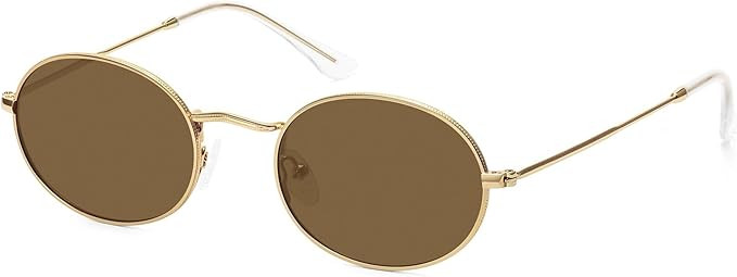 Small Retro Oval Sunglasses for Women Men Trendy Metal Sun Glasses Classic Shades FZN903 | Amazon (US)