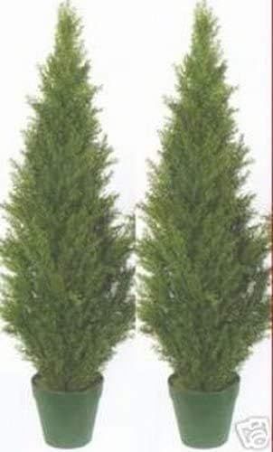 Two 4 Foot Artificial Topiary Cedar Trees Potted Indoor Outdoor Plants | Amazon (US)