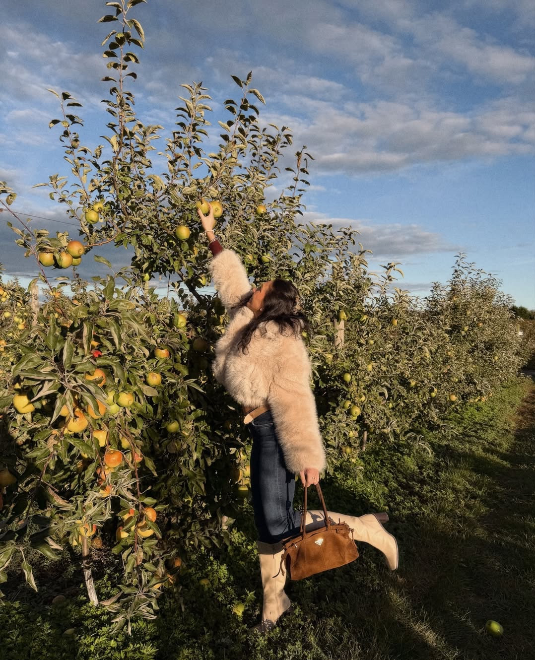 if only there was an award for the most impractically dressed girl to ever go apple picking at the orchard 🏅

#LTKStyleTip #LTKSeasonal