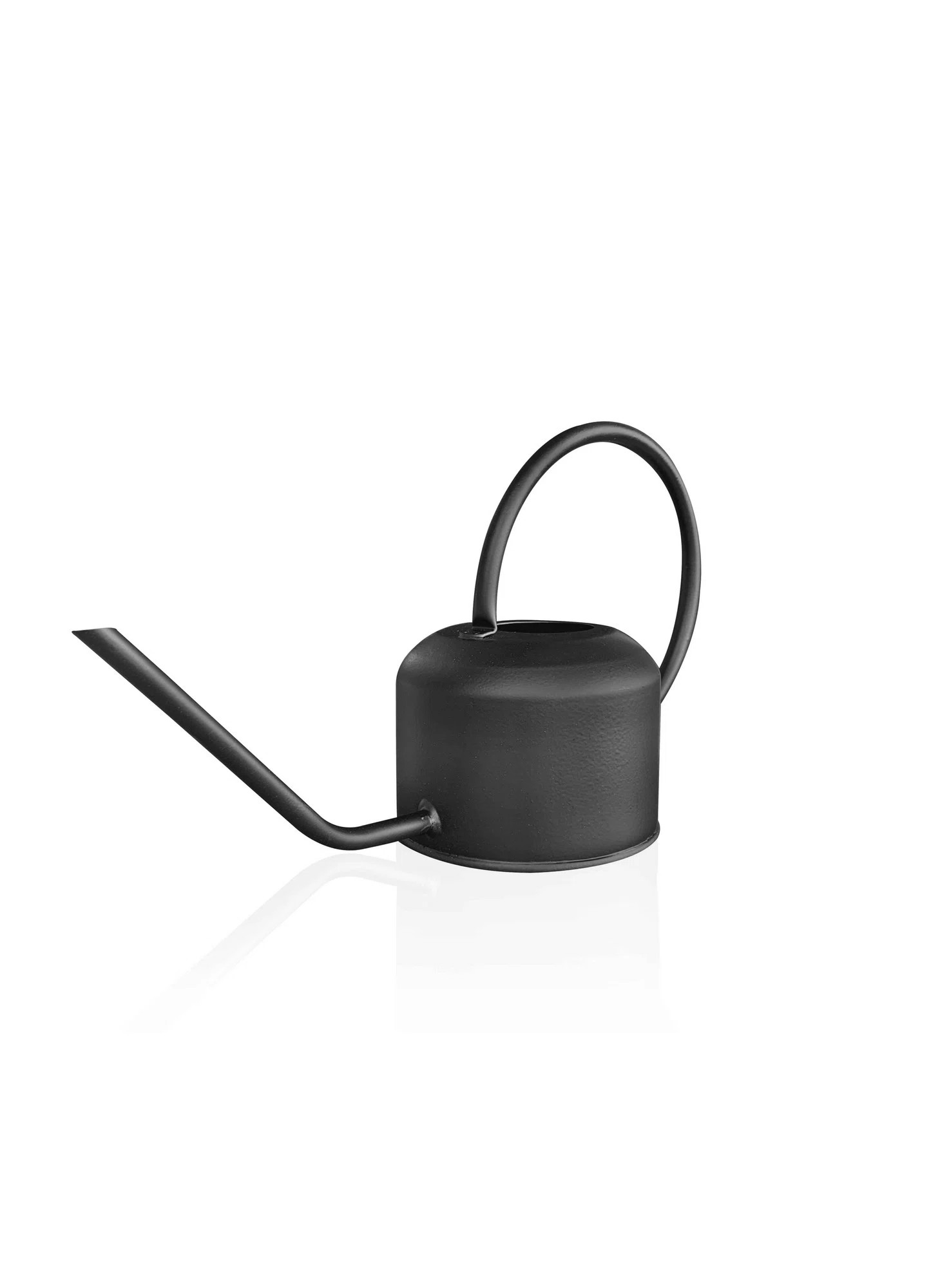 Premium Stainless Steel Watering Can, 5.1 x 5.1 x 3.9 inches | 100% BPA Free, Stylish Black Desig... | Wayfair North America