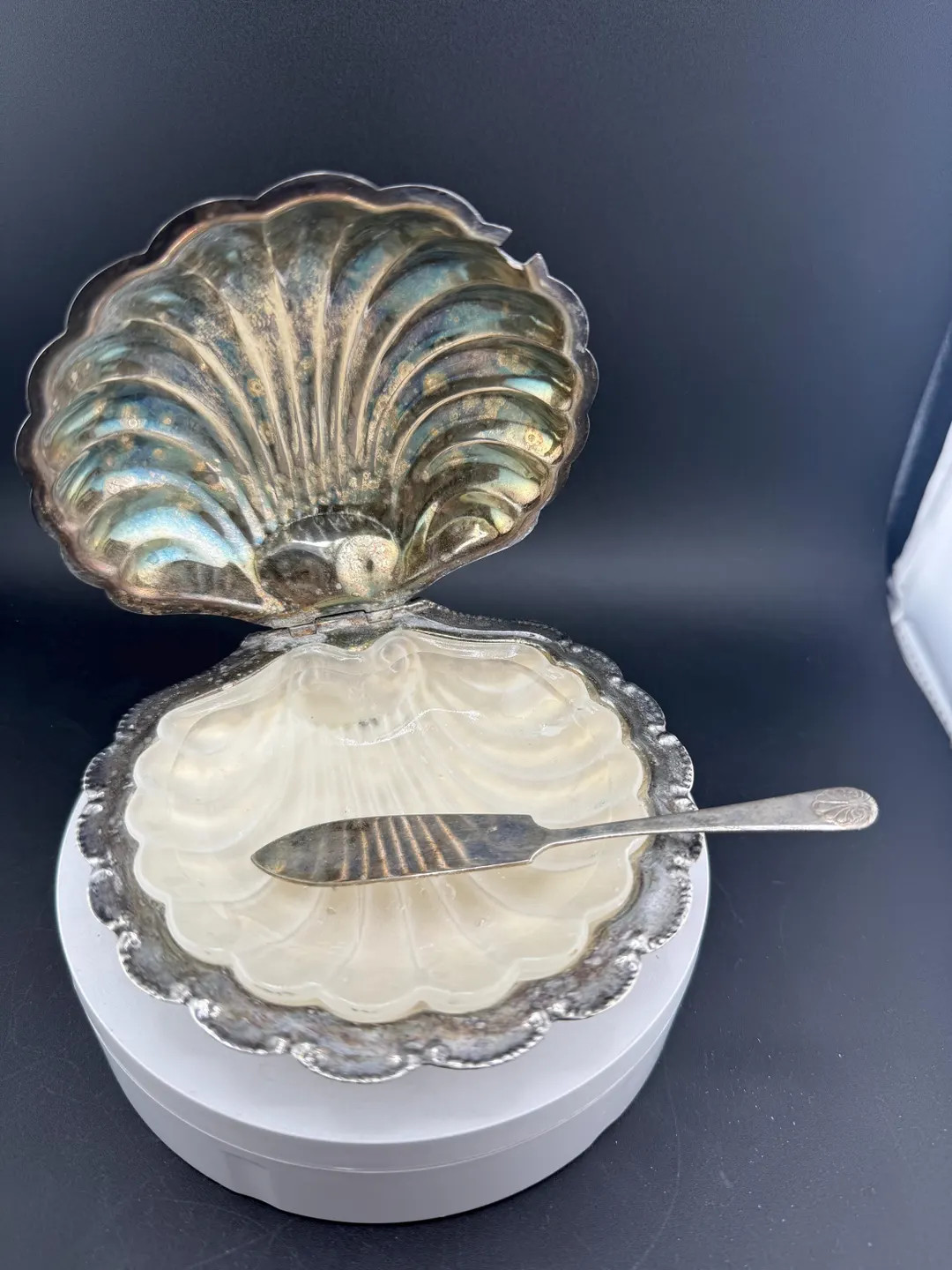 Vintage Silver Shell Plate Caviar/butter Dish With Knife Folgate England - Etsy | Etsy (US)