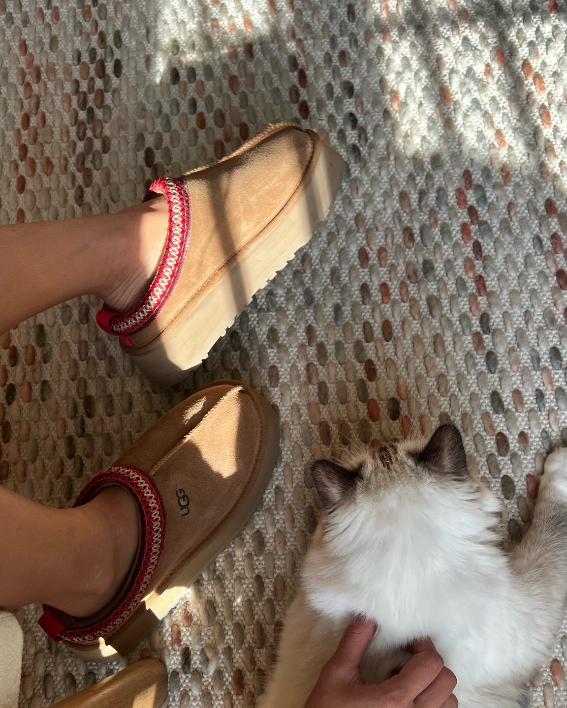 Ugg tazz slippers, would make a great gift! Uggs, cozy slippers, platform slippers, meir, ameirylife 

#LTKshoecrush #LTKSeasonal