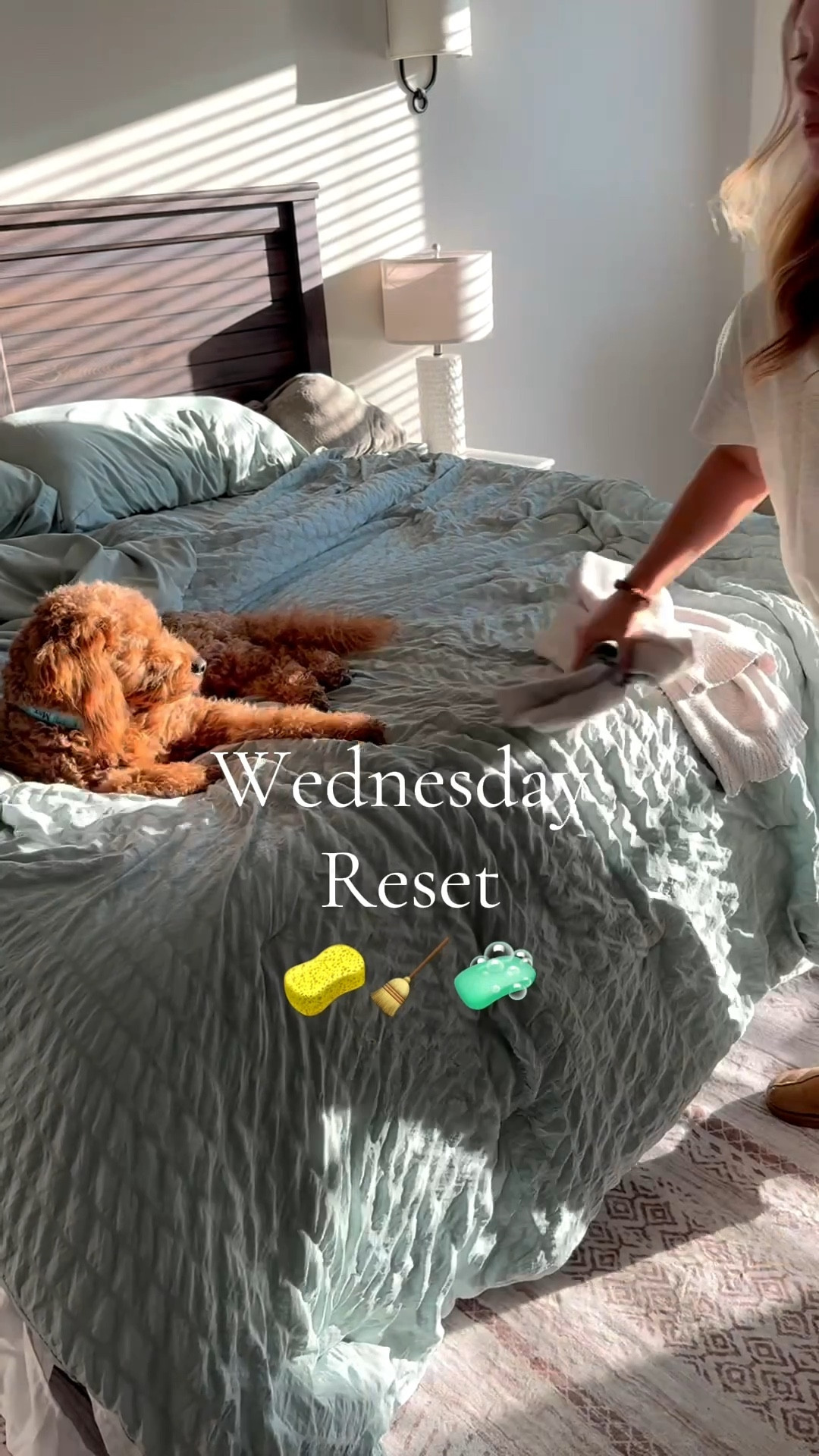 Happy Wednesday! Reset the house with me. #laundry #reset #clean #mopping

#LTKHome #LTKFindsUnder50 #LTKFindsUnder100