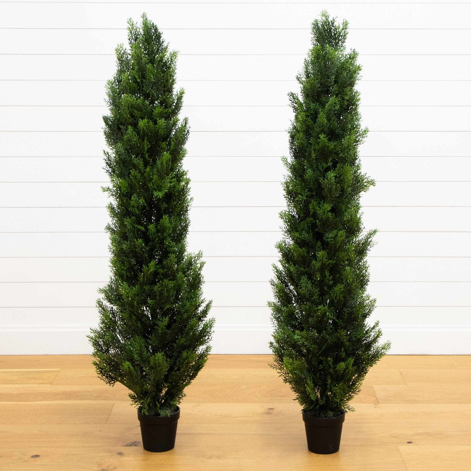 5' Mini Cedar Pine Tree UV Resistant (Indoor/Outdoor) - Set of 2 | Nearly Natural | Nearly Natural
