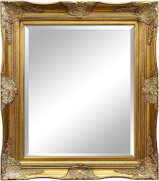 West Frames Georgiana Ornate Antique Gold French Baroque Rectangular Wood Framed Wall Mirror (25.... | Amazon (US)