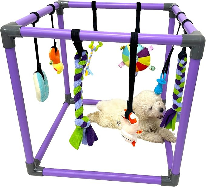 Puppy Play Gym for Small Dogs with 8 Hanging Toys, Jungle Playground with Interactive Funny Enric... | Amazon (US)
