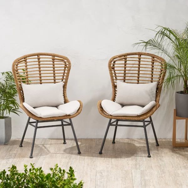 Frazer Faux Rattan Outdoor Armless Lounge Chair (Set of 2) | Wayfair North America