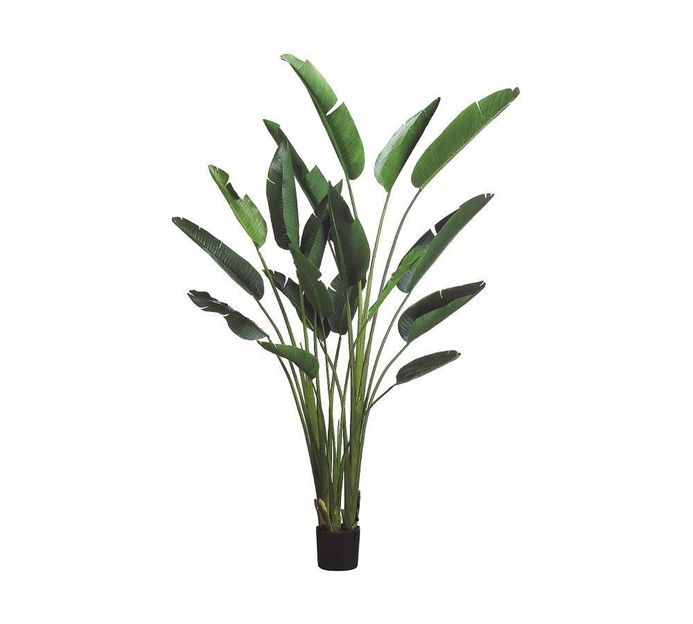 Faux Bird Of Paradise Plants | Pottery Barn (US)