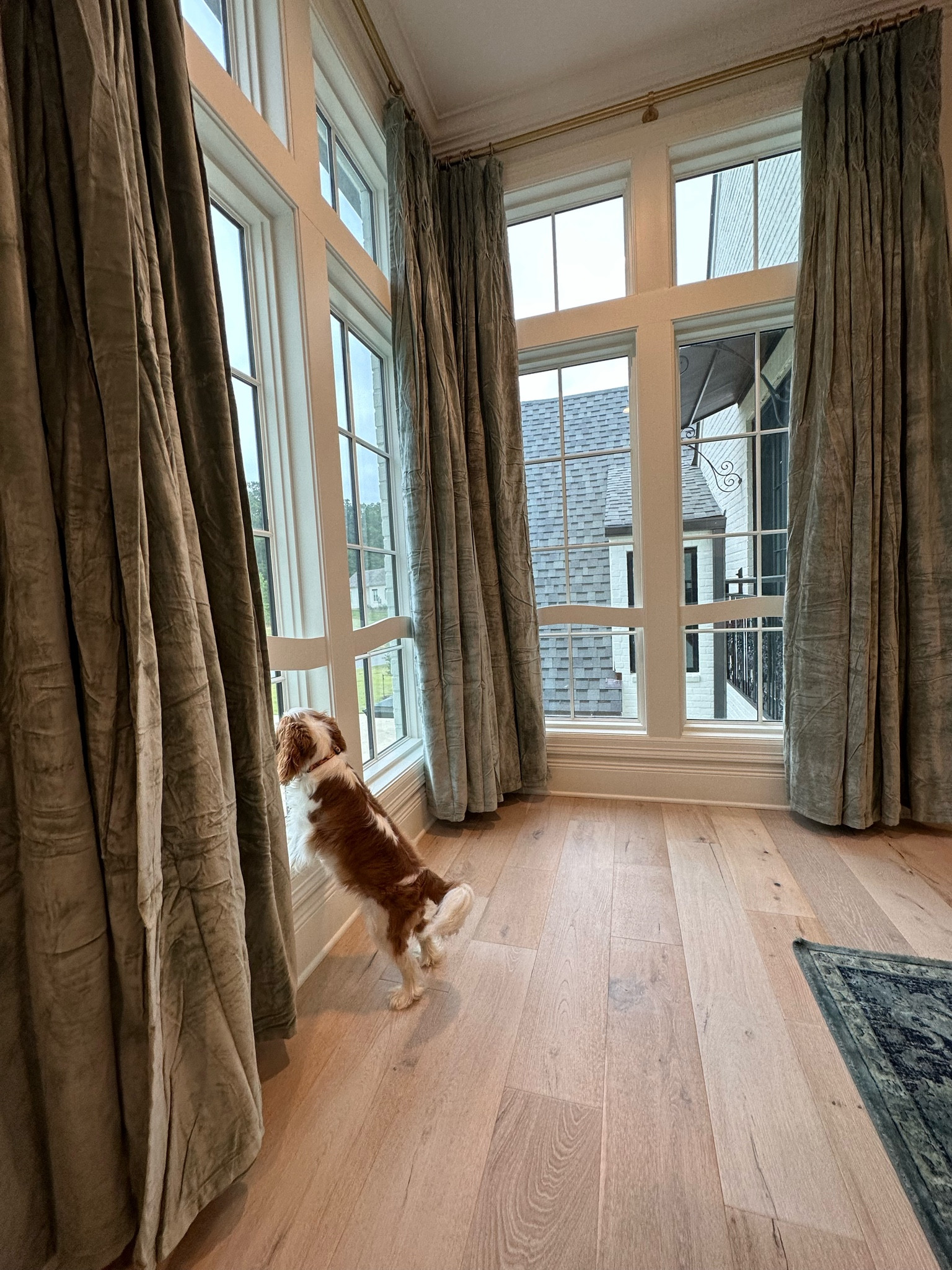 These curtains are beyond beautiful and they are blackout. 

#LTKstyletip #LTKHoliday #LTKhome