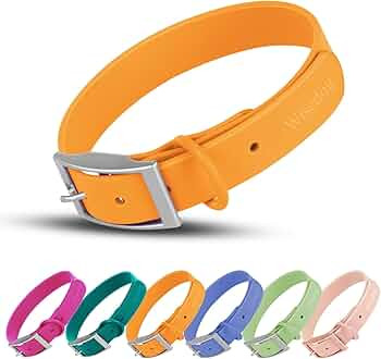 Wisedog Waterproof Dog Collar: Multiple Adjust 7" to 23.6", Soft Rubber Coated Webbing, Easy to C... | Amazon (US)
