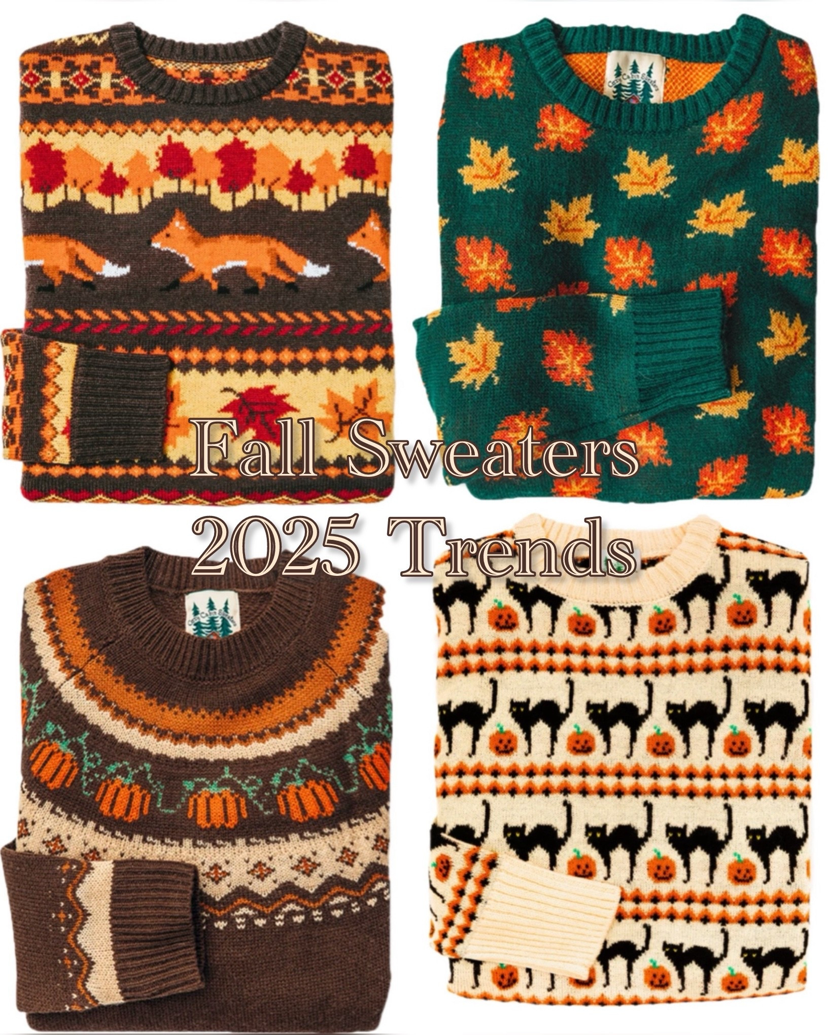 Autumn sweater collection 🍁🦊🍂🐈‍⬛ #autumn2025

#LTKautumn #LTKuk