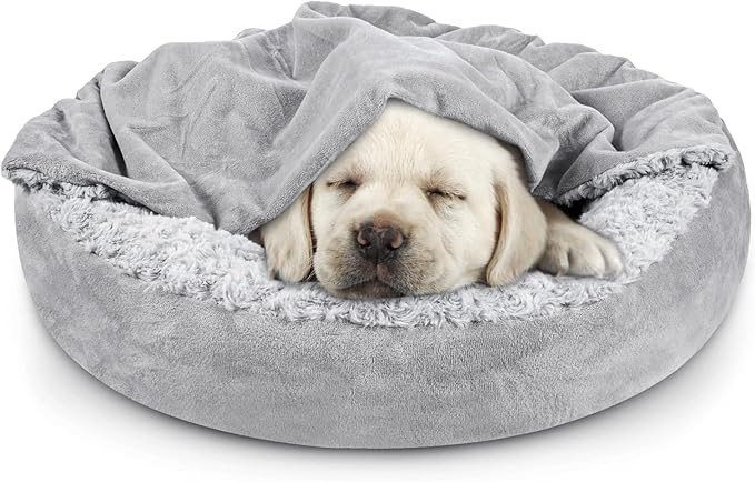 Small Dog Bed Cat Bed with Hooded Blanket, Cozy Cuddler Luxury Puppy Pet Bed, Donut Round Calming... | Amazon (US)