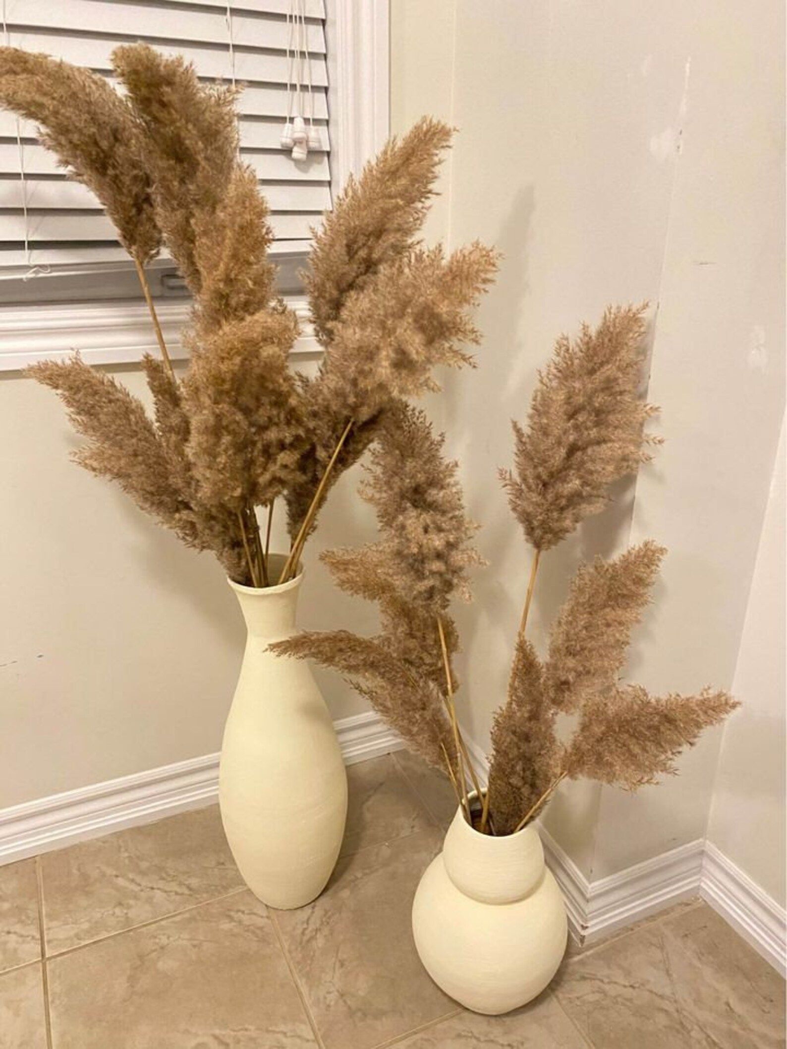 3ft  6pc Natural Light Beige Pampas Grass/ 6 Pampas | Etsy | Etsy (US)