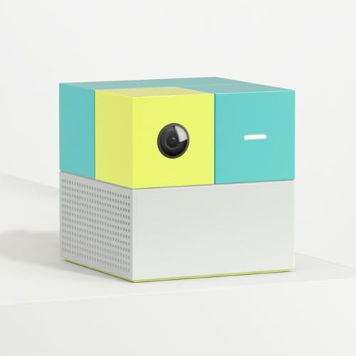 Nex Playground - The Active Play System for Kids & Families Where Indoor Physical Activity Meets ... | Amazon (US)