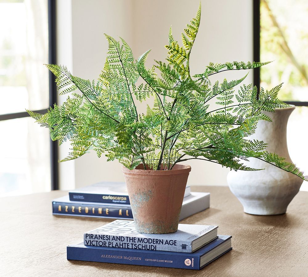 Faux Potted Japanese Climbing Fern | Pottery Barn (US)