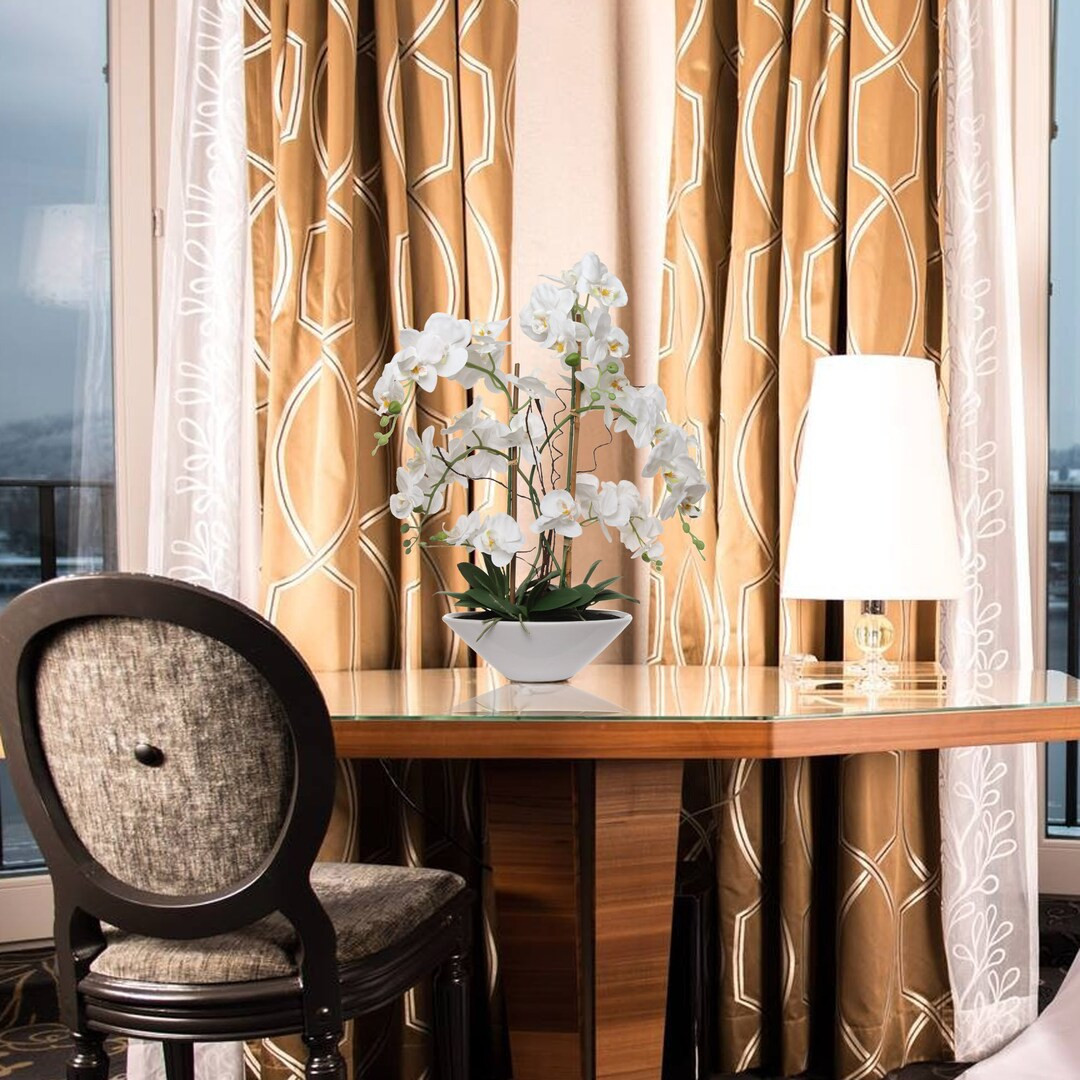 25 White Phalaenopsis Orchid Arrangement in White - Etsy | Etsy (US)