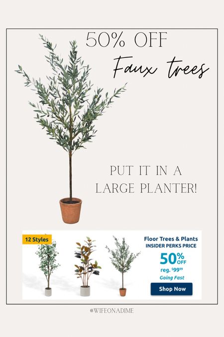 Faux trees 50% off! Faux Olive tree. Rubber leaf plant. Fake tree. At Home Stores. 

#LTKhome #LTKfindsunder100