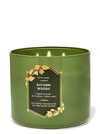 Autumn Woods


3-Wick Candle | Bath & Body Works