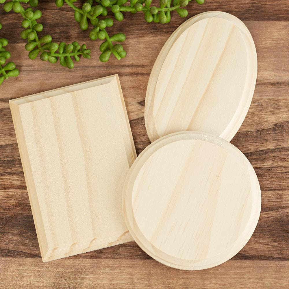 Unfinished Wood Beveled Edge Wooden Mini Sign Plaques - Pack of 12 Blank Wood Board Signs in Asso... | Amazon (US)