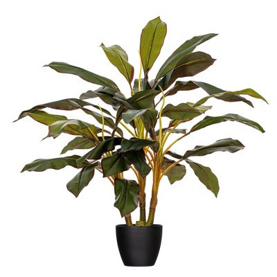 Vickerman 30" Artificial Real Touch Dracaena. | Target