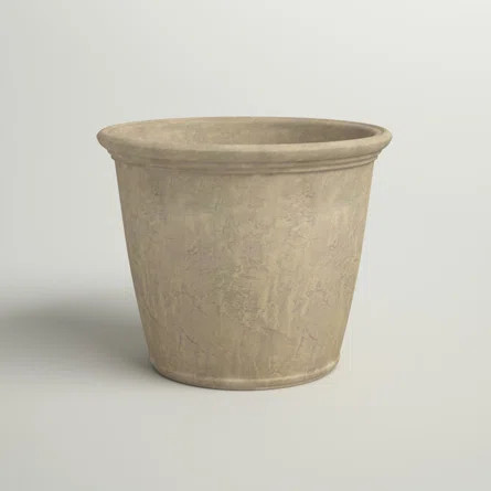 Sand & Stable Kehlani Resin Pot Planter | Wayfair | Wayfair North America