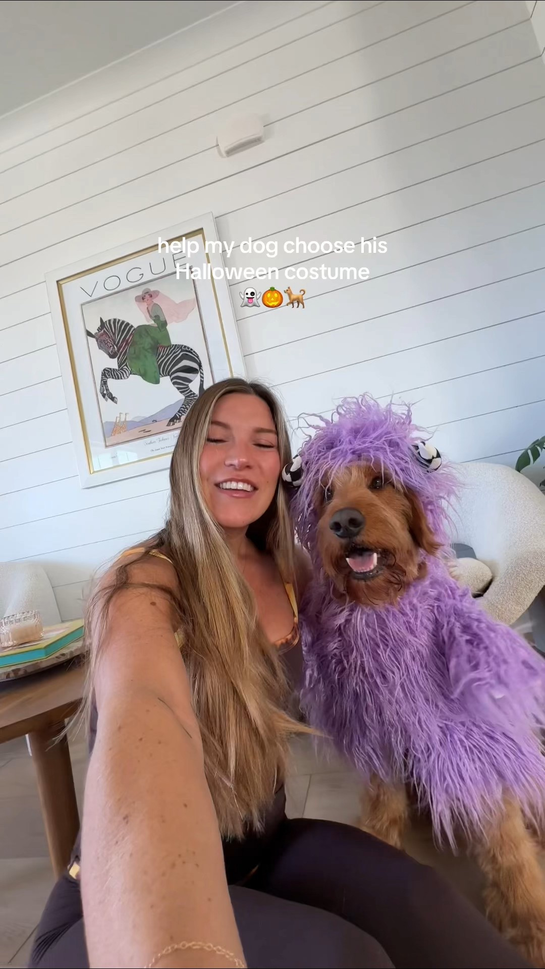 Which Petco costume?! @petco #petcopartner #ad #paidlink" or "Petco has everything you need for this halloween @petco #petcopartner #ad #paidlink".

#LTKSeasonal #LTKPets #LTKHalloween