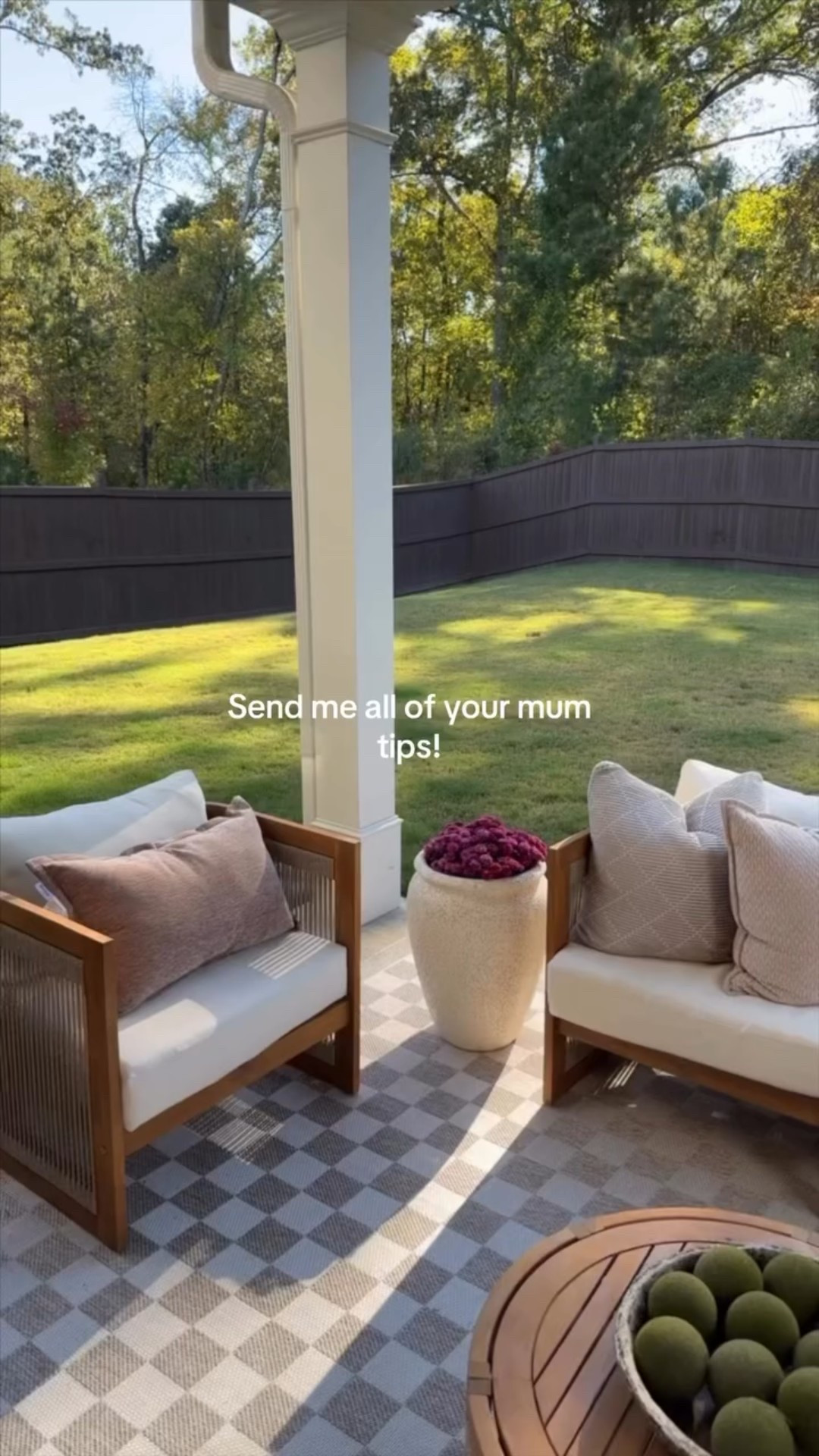 Should I have bought the $5.95 mums @krogerco ?! Probably not! But I can’t resist a good sale and a challenge! 

I am hoping I can keep my mums alive this season because they never last 😭 !! So now I need your tips because I really want mums all seasons. HELP !!!!! Also I’m in love with my patio set from Amazon! The patio came out soo good!

#mumstips #mums #plants #flowers