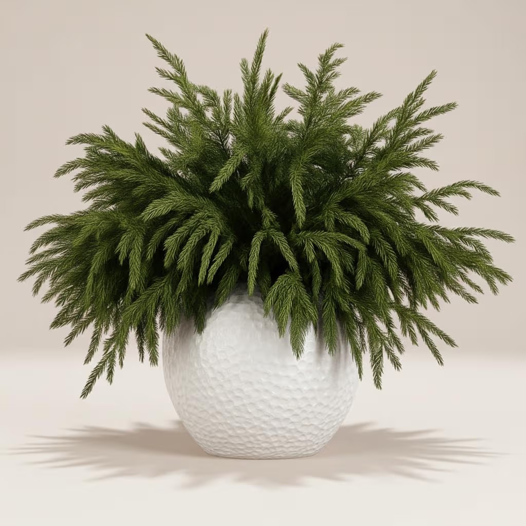 16 Pack Real Touch Norfolk Pine Branches – 18" Artificial Pine Stems for Christmas Decor, Faux ... | Amazon (US)