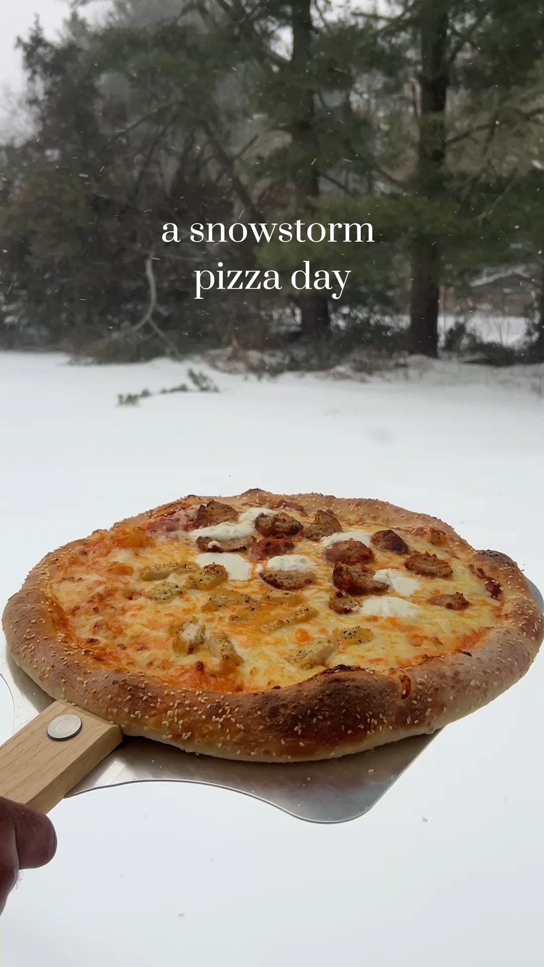 we got 9 inches of snow at our house at the Jersey shore. ❄️ we decided to spend it making a pizza 🍕 half vodka sauce chicken cutlet, half meatball, all from scratch. ❤️ using our Halo Versa 16”, we make pizza at home all the time and it’s so easy, and always comes out perfect!!


#LTKfoodie #LTKMens #LTKSeasonal