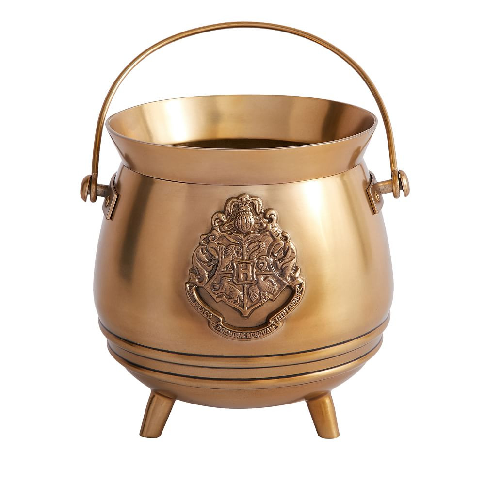 Harry Potter™ Cauldron Planter | Pottery Barn Teen