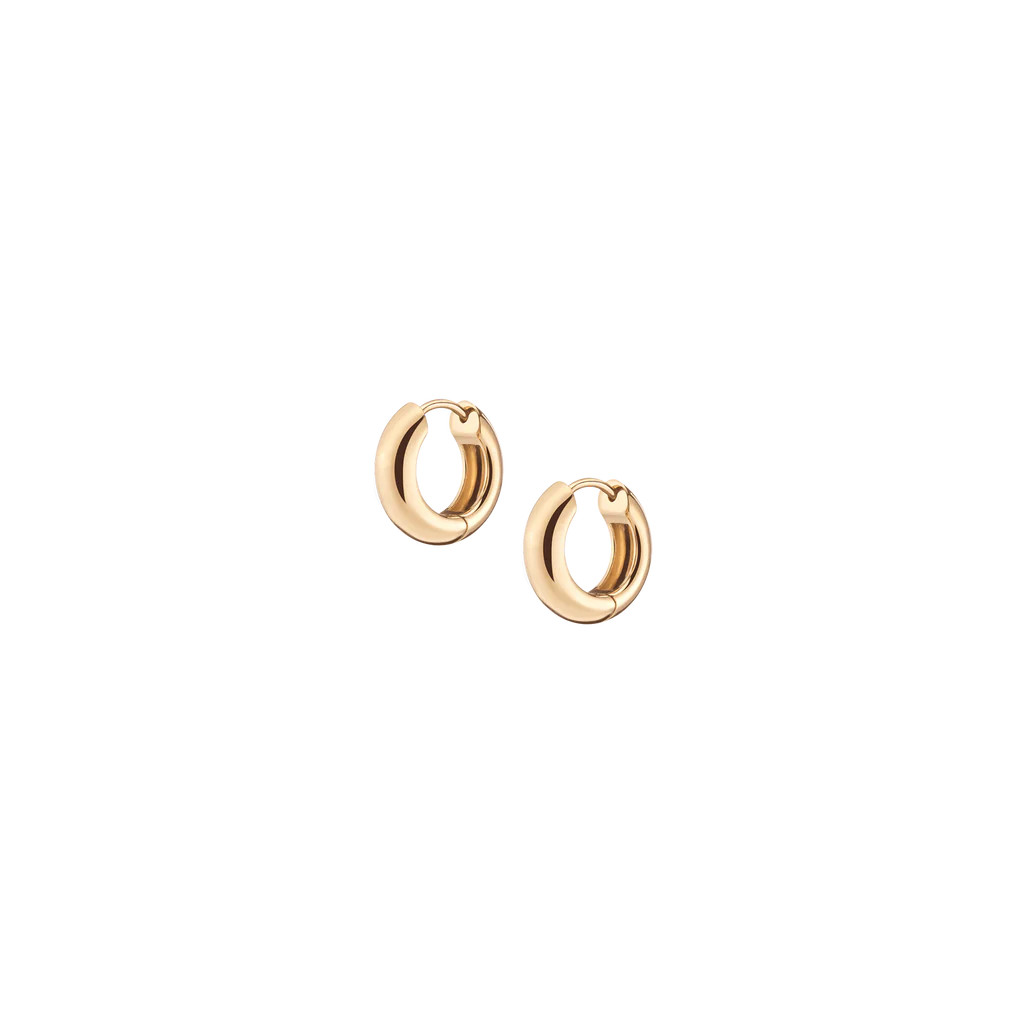 Small Chunky Hinged Hoop Earrings | AUrate New York