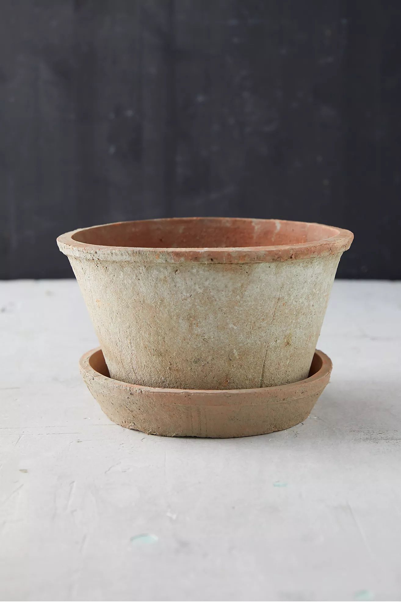 Earth Fired Clay Thin Rim Pot + Saucer Set | Anthropologie (US)