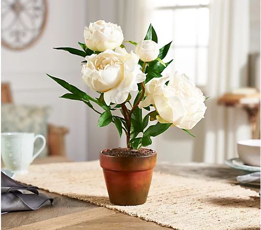 Real Touch Potted Peony Plant by Valerie | QVC