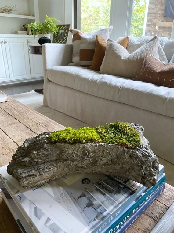 Faux Log Moss Bowl Preserved Moss Moss Planter Mood Moss | Etsy | Etsy (US)