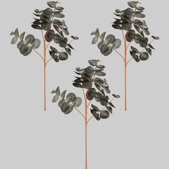 3pk Faux Picks Eucalyptus - Bullseye's Playground™ | Target