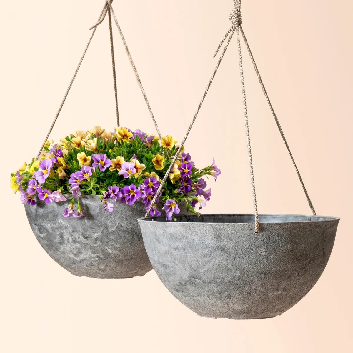 Boxdale Hanging Planter (Set of 2)ByJoss & Main4.6Rated 4.6 out of 5 stars.317 Reviews | Wayfair North America