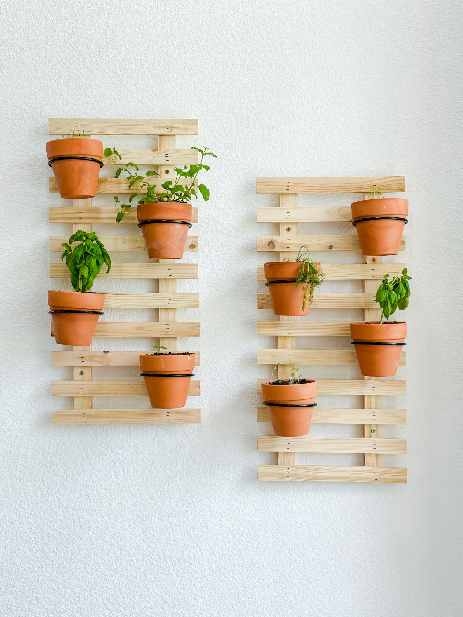 Our herb/succulent wall! 

#LTKSeasonal #LTKhome #LTKfindsunder100