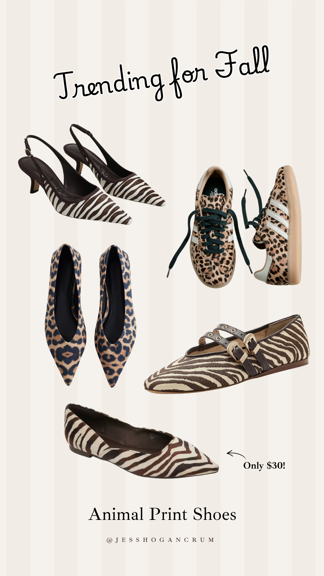 obsessed with animal print for fall 🐆

new arrivals, fall shoes, animal print, leopard print, ballet flats, sneakers, kitten heels, jess crum 

 #LTKSeasonal