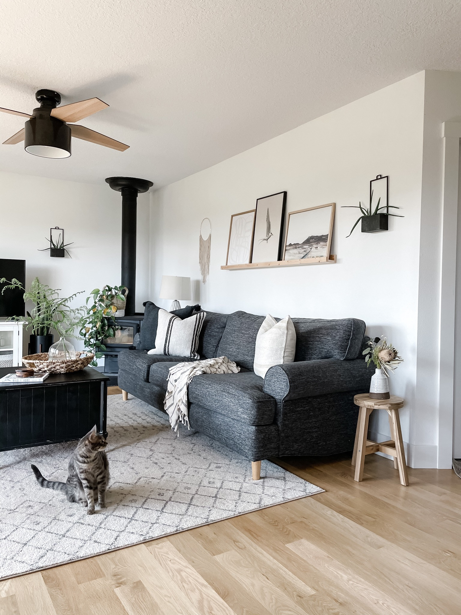 DECOR TIP: Use a photo ledge above a sofa to easily switch out artwork throughout the year! 

 

 #LTKHome