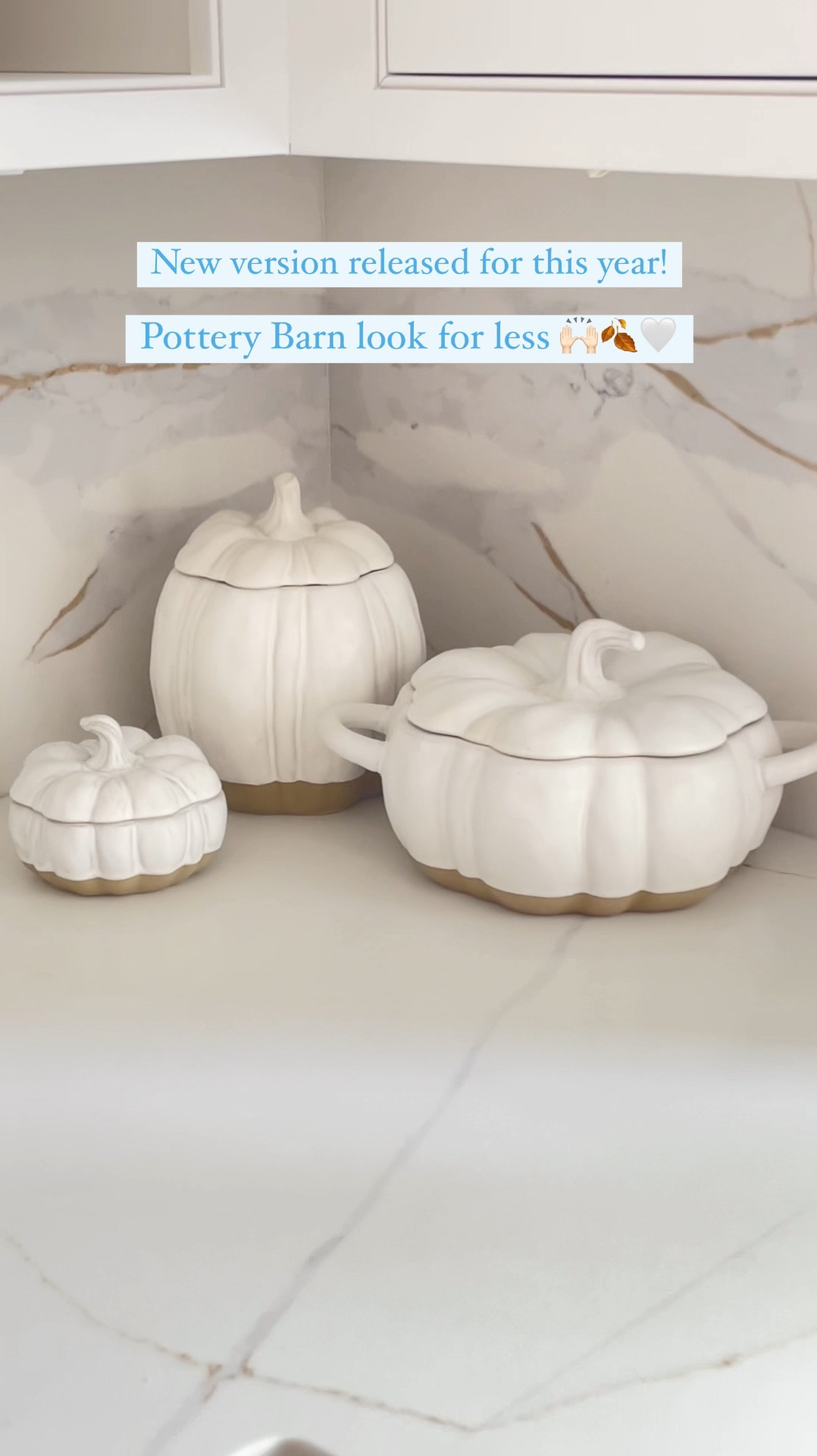 Fall neutral pumpkin stoneware collection, pottery barn look for less, $20 and under!! 🤍🍂

#LTKFindsUnder50 #LTKVideo #LTKHome