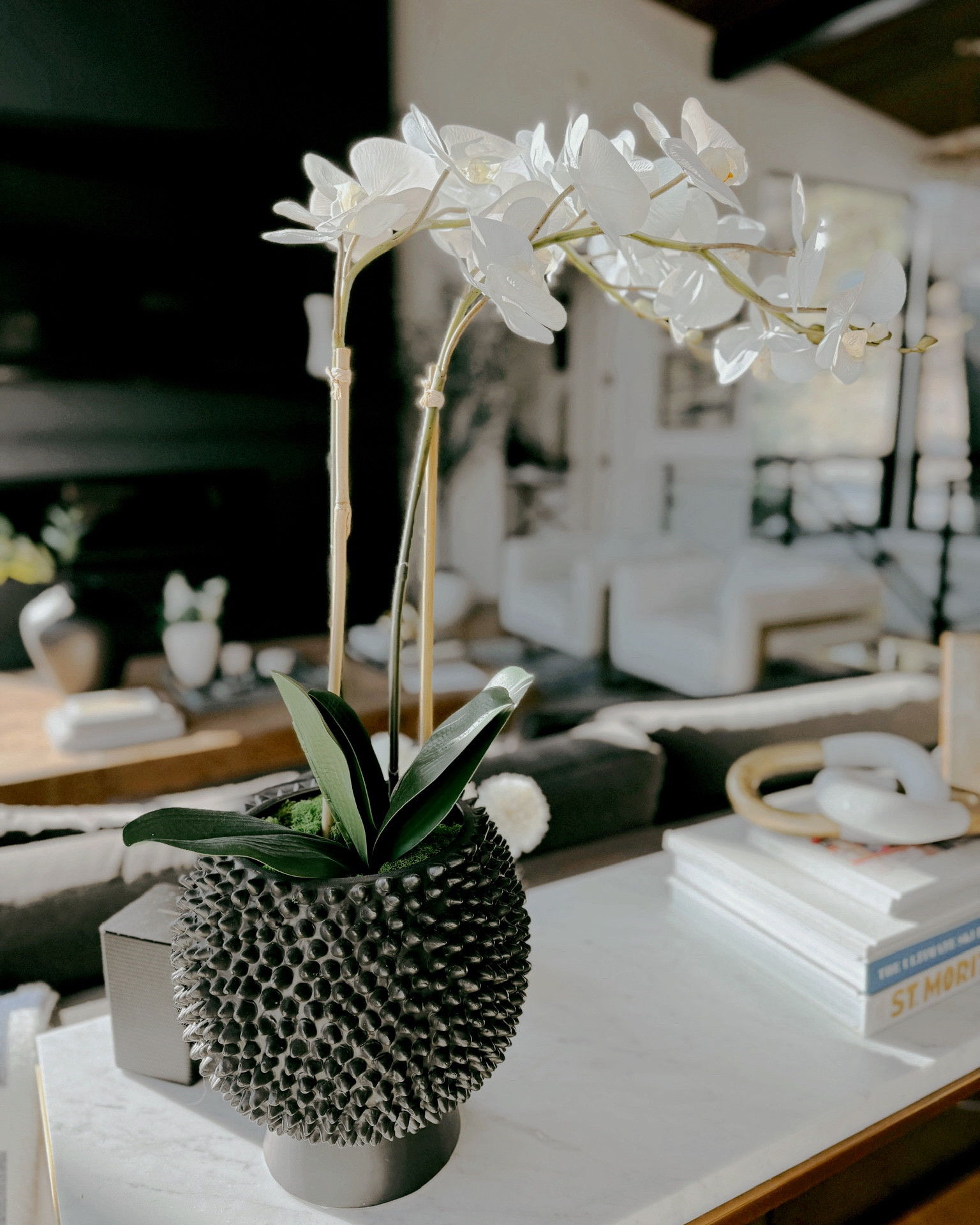 Home decor that is chic, contemporary, and versatile is something I’m always looking for. And a beautiful plant that requires zero maintenance? Yes please! 

#LTKFindsUnder100 #LTKHome #LTKSeasonal
