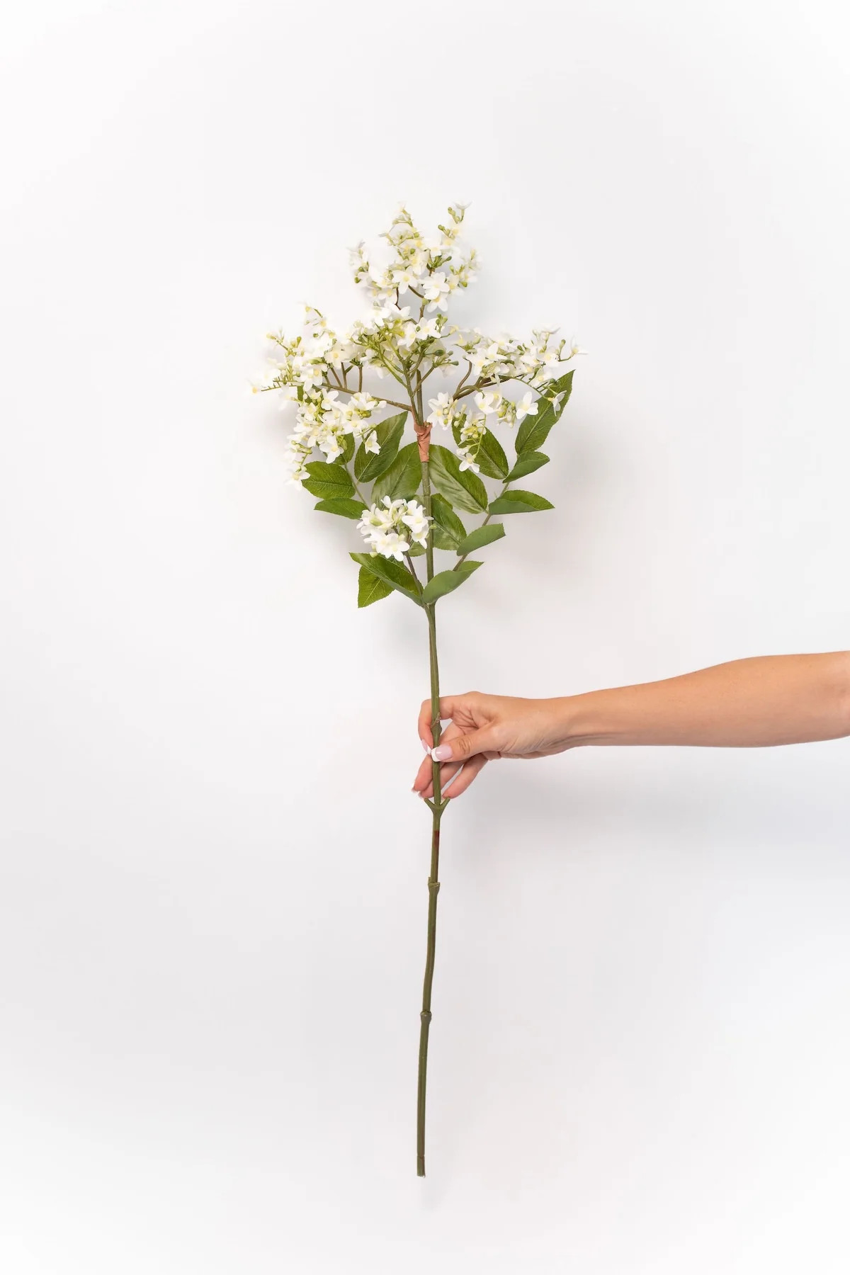 White Lilac Stem - 34" | THELIFESTYLEDCO
